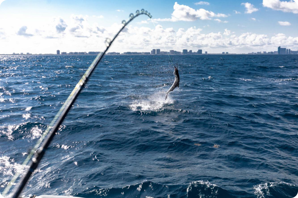 Deep sea fishing on open water