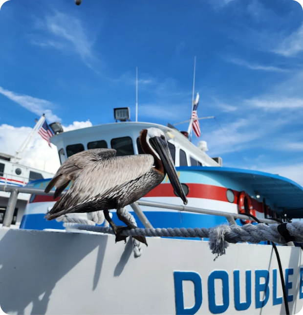 Offshore fishing charter